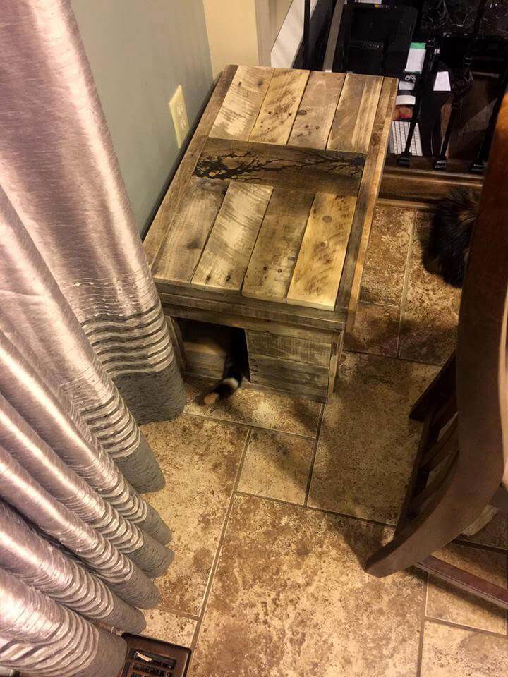 Handmade pallet cat house