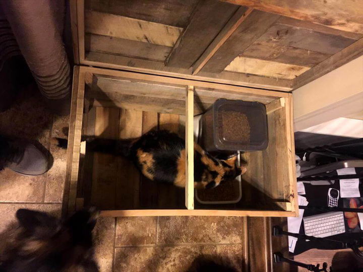 pallet cat house