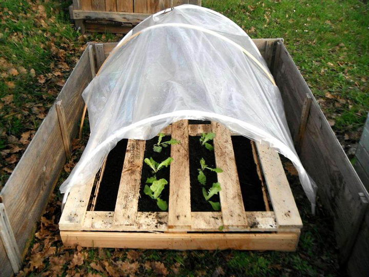 pallet vegetable garden