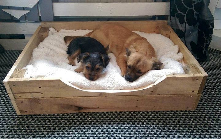 wooden pallet dog bed